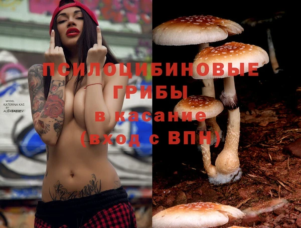 тгк Белоозёрский