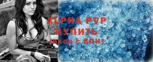 гашик Семилуки