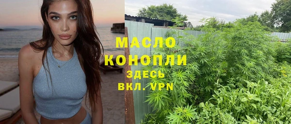 сатива Баксан