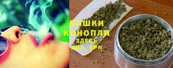 гашик Семилуки