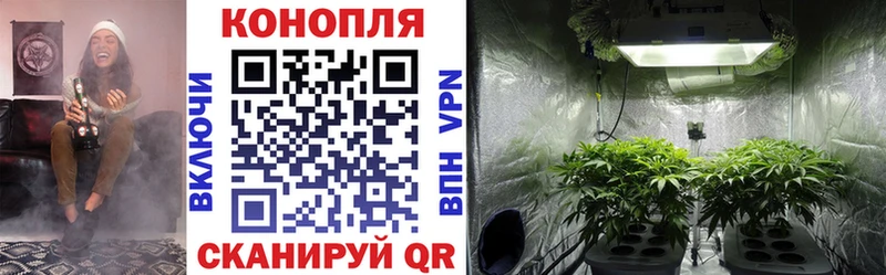 хочу наркоту Монино Конопля MAZAR